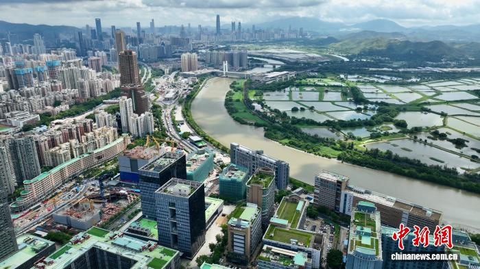 十五运会圣火点亮粤港澳大湾区协同新篇章